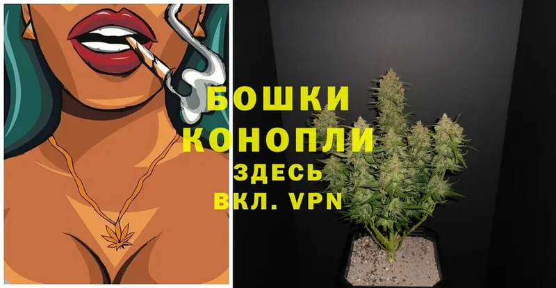 наркота  Таганрог  Конопля OG Kush 